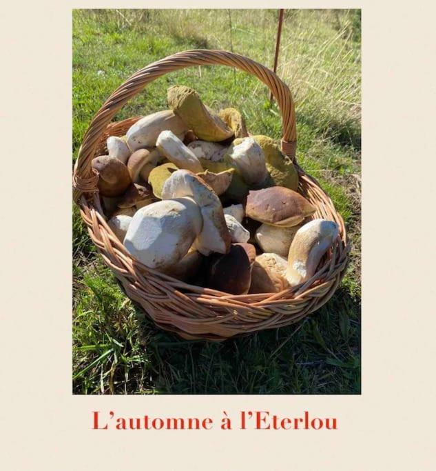L'Eterlou Authentique Partie De Corps De Ferme 10Pers. Βίλα Targassonne Εξωτερικό φωτογραφία